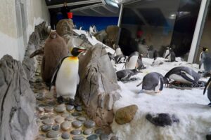 Melbourne Aquarium