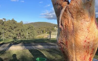 Local Butcher Enhances Business with Tapawasee 2 Technology to Protect Product Quality