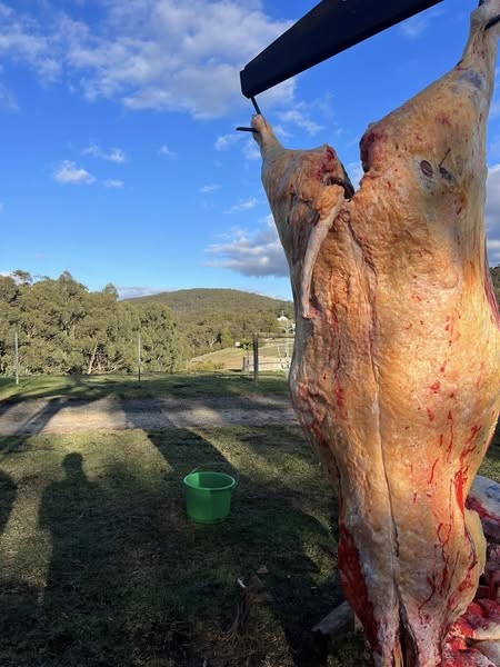 Mobile Butcher