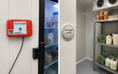 Why a Supermarket Freezer Monitoring System Matters